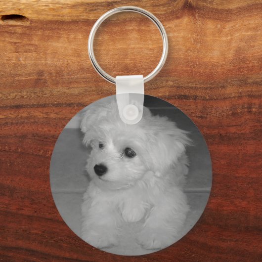 Maltipoo Sleutelhanger (Voorkant)