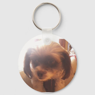 Maltipoo Sleutelhanger