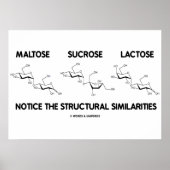 Maltose Sucrose Lactose Structurele overeenkomsten Poster (Voorkant)