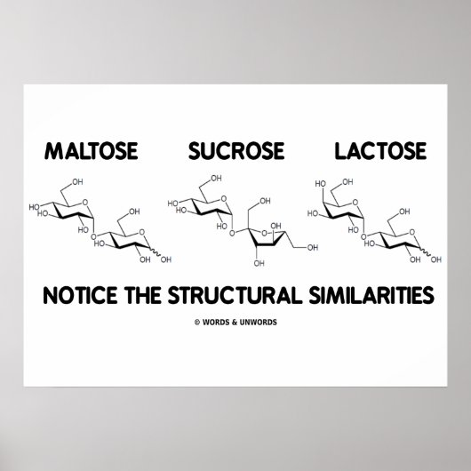 Maltose Sucrose Lactose Structurele overeenkomsten Poster (Voorkant)