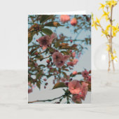 Malus Brandywine Crabapple Blossom Kaart (Gele Bloem)