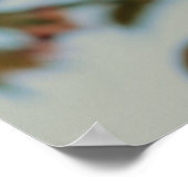 Malus Brandywine Crabapple Tree Spring Pink Bloom Poster (Hoek)