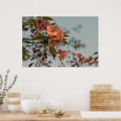 Malus Brandywine Crabapple Tree Spring Pink Bloom Poster (Keuken)