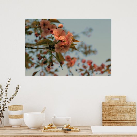 Malus Brandywine Crabapple Tree Spring Pink Bloom Poster (Keuken)