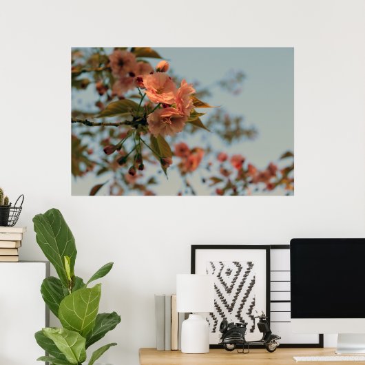 Malus Brandywine Crabapple Tree Spring Pink Bloom Poster (Thuiskantoor)