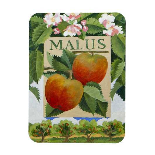Malus Magneet (Verticaal)