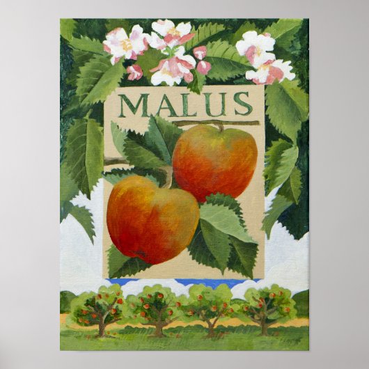 Malus Poster (Voorkant)
