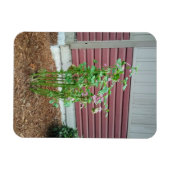 Malva Magneet (Horizontaal)