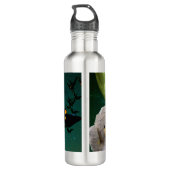 Mam, Bat en Moon Halloween Waterfles (Achterkant)