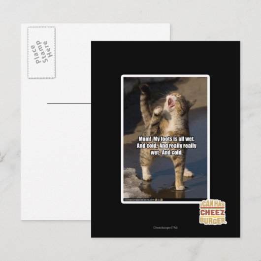 Mam! Briefkaart (Voorkant / Achterkant)