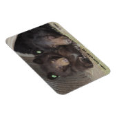 Mam & cub 2013 Premium Flexi Magneet (Rechterzijde)