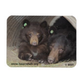 Mam & cub 2013 Premium Flexi Magneet (Horizontaal)