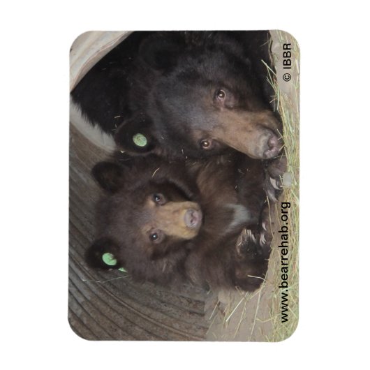 Mam & cub 2013 Premium Flexi Magneet (Verticaal)