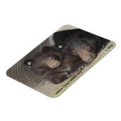 Mam & cub 2013 Premium Flexi Magneet (Linkerzijde)