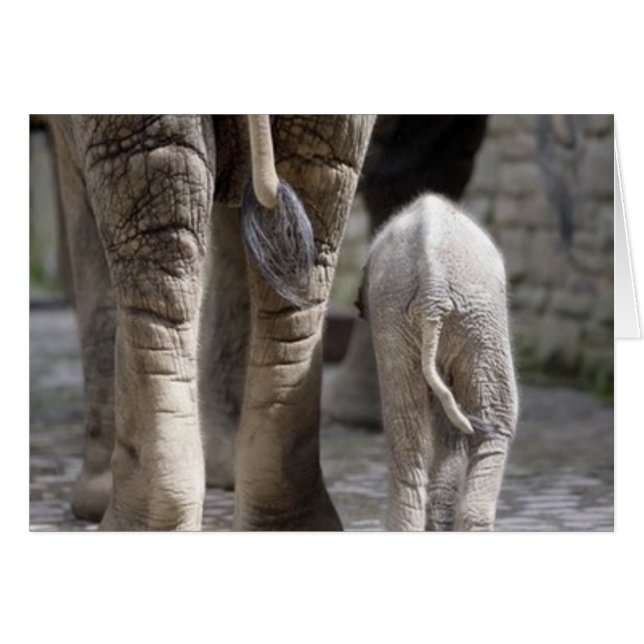 Mam en Baby (Voorkant Horizontaal)