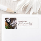 Mam en Baby Goat Etiket (Insitu)