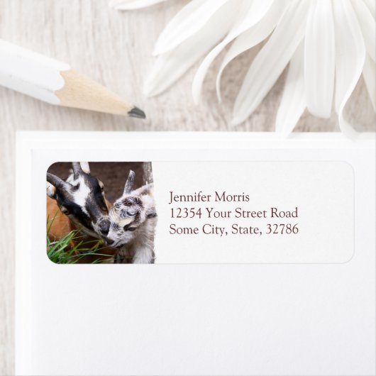 Mam en Baby Goat Etiket (Insitu)