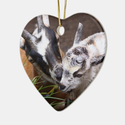 Mam en Baby Goat Keramisch Ornament (Links)