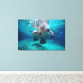 Mam en Baby Manatee (drie zusters pit) Canvas Afdruk (Insitu (Houten vloer))