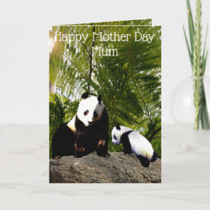 Mam en Baby Panda, moederdag Kaart