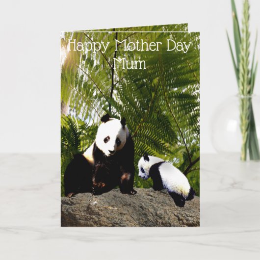 Mam en Baby Panda, moederdag Kaart (Voorkant)