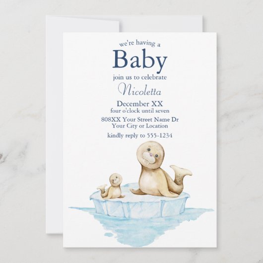 Mam en Baby Seal Pup op IJs Kaart (Voorkant)