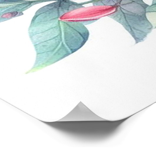 Mam en Baby Sloth Poster (Hoek)