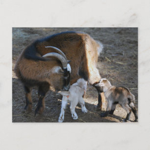 Mam en baby's briefkaart