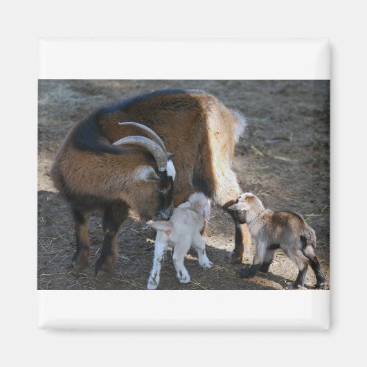 Mam en baby's magneet (Voorkant)