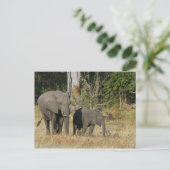 Mam en Happy Elephant Calf Briefkaart (Staand voorkant)