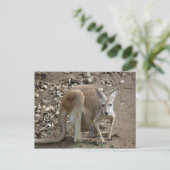 Mam en joey briefkaart (Staand voorkant)