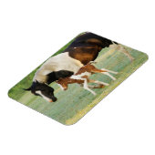 Mam en pasgeboren verf filly magneet (Linkerzijde)