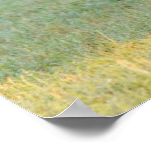 Mam en pasgeboren verf filly poster (Hoek)