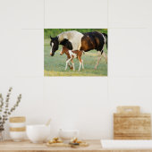 Mam en pasgeboren verf filly poster (Keuken)