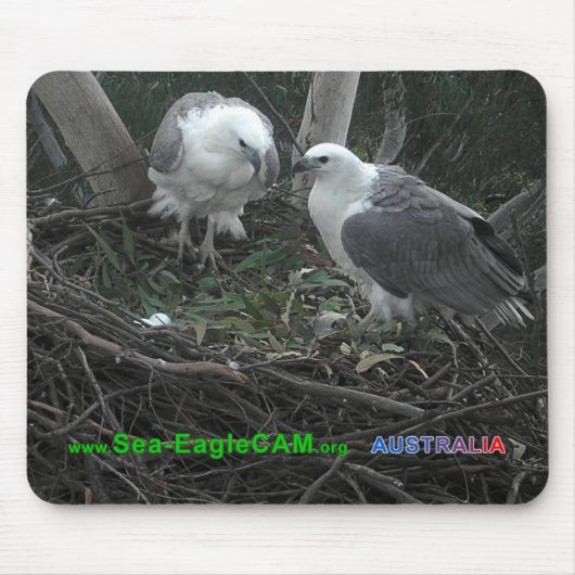 Mam en vader bewonderend de Eggs Mousepad Horizont Muismat (Voorkant)