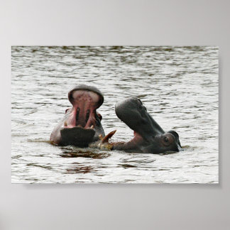 Mam en zoon hippos spelen poster