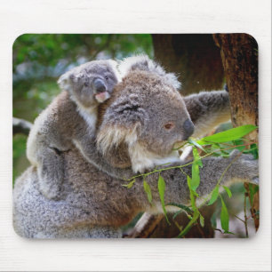 Mam en zoon Koala Muismat