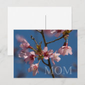 Mam  Floral Foto Flower Blooms Spring Scene Briefkaart (Voorkant / Achterkant)