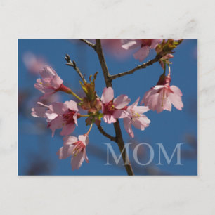 Mam  Floral Foto Flower Blooms Spring Scene Briefkaart