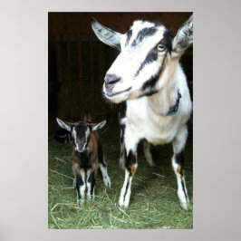 Mam Goat met Baby Ginger Poster