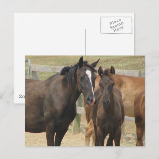 Mam in mij briefkaart (Voorkant / Achterkant)