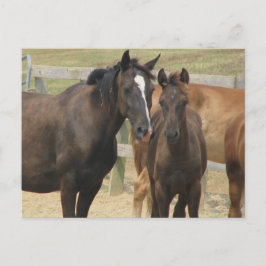 Mam in mij briefkaart