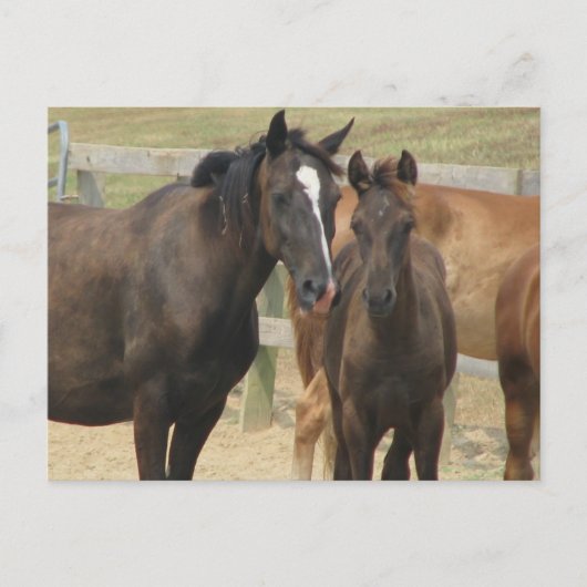 Mam in mij briefkaart (Voorkant)