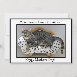 Mam, je bent Puurrfect! Tiger Cat Moederdag Feestdagenkaart