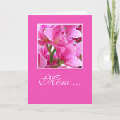 Mam.... - Kaart (Voorkant)