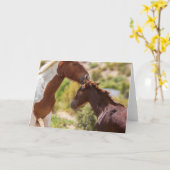 Mam Kusjes Kaart (Gele Bloem)