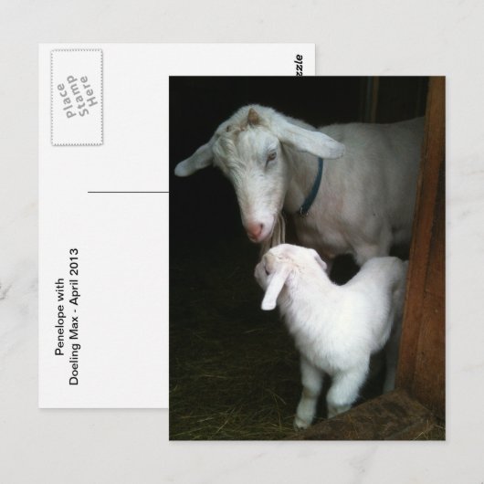 Mam met Baby Geitte Briefkaart (Voorkant / Achterkant)