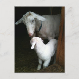 Mam met Baby Geitte Briefkaart