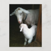 Mam met Baby Geitte Briefkaart (Voorkant)