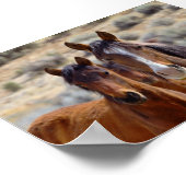 Mam met Teenage Foal Poster (Hoek)